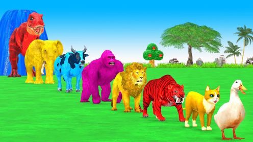 《动物奇幻世界第2季》第11集穿越喷泉变色通过障碍拯救动物