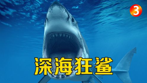众人被困深海研究所，巨型鲨鱼展开猎杀