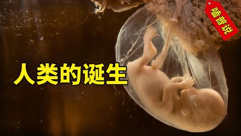 这将是你第一次如此完整看到，你诞生的全过程！一场生命奇迹！ #胎儿发育 #胎儿 #涨知识