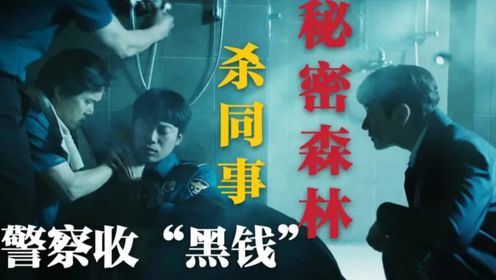 《秘密森林2》韩国政治大戏：警察收“黑钱”非法执法，杀同事，检察官揭开真相