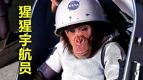 第一只登上太空的黑猩猩最终怎样了？过程惊心动魄，结局令人感动