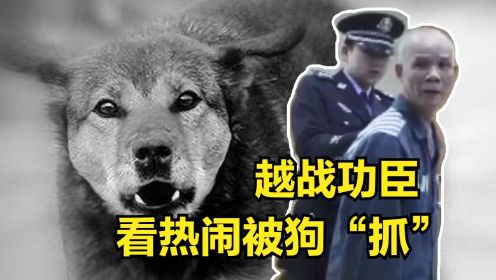 被2条狗“定罪”，越战功臣沦为“杀人犯”，看个热闹入狱16年！