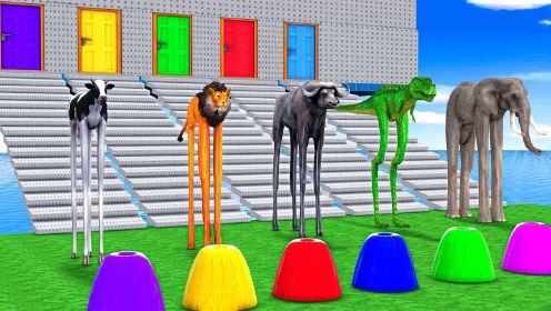 《动物奇幻世界》第16集水牛狮子大象猩猩闯关通过魔幻喷泉游戏