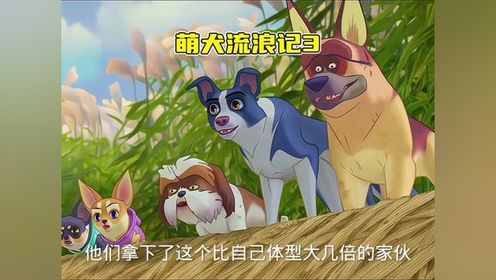 萌犬流浪记3 猎狗者盯上了一群流浪狗，准备将他们全部抓走卖狗肉。#童年动画 #童年经典动画片
