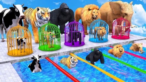 《动物奇幻世界》第05集动物闯关获得喜爱食物宝宝认读动物中英文