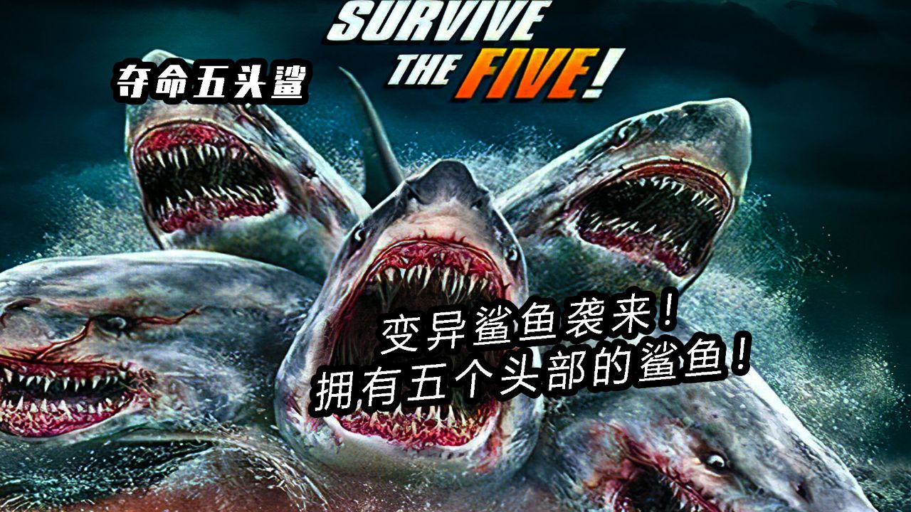 嗜血五头鲨袭来！类似海星的变异五头鲨鱼！你见过吗？