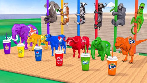 《动物奇幻世界第2季》第15集奇幻动物喝饮料变色完成爬杆考验