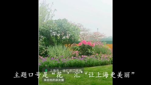 让上海更美丽—2024上海国际花展