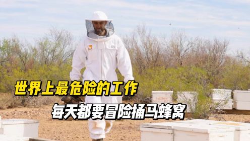 世界上最危险的工作，每天都要冒险捅马蜂窝，一不小心几千只蜜蜂攻击