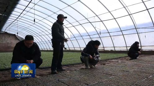 临泽：农技人员积极开展技术“上门”服务