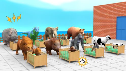 《动物奇幻世界第2季》第02集野猪大猩猩搞笑闯关赢食物