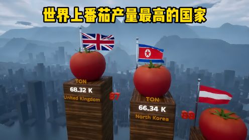 世界上番茄产量最高的国家