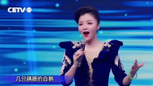杨孟茜中国教育电视台演唱《美丽家园》