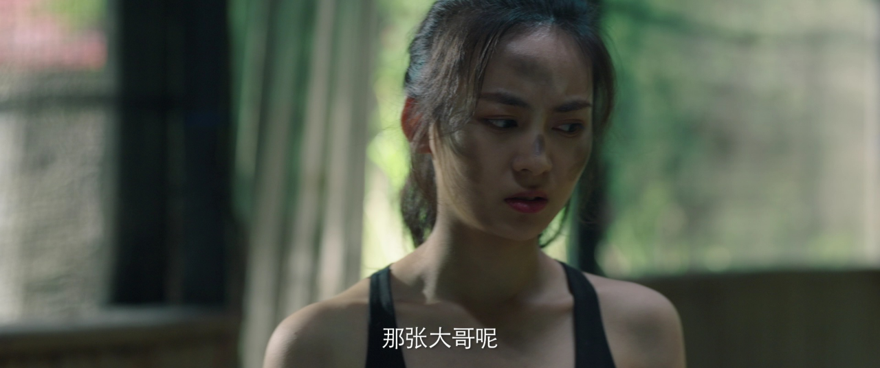 大蛇再袭 10集