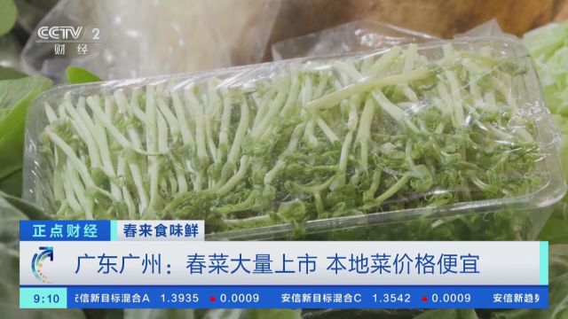 春来食味鲜 广东广州:春菜大量上市 本地菜价格便宜