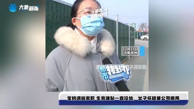 宝妈调岗离职 生育津贴一直没给,女子怀疑被公司挪用