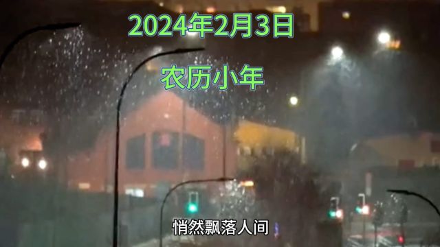 我们的城市下雪啦!你们哪里下雪了吗? 有雪的日子,才有浓浓的年味!