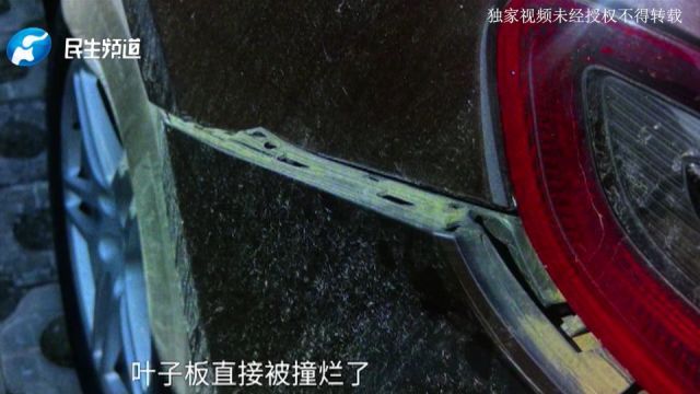 保时捷路口等红灯被后面货车追尾,对方全责却不理赔?货车司机:保险让走赔付代偿