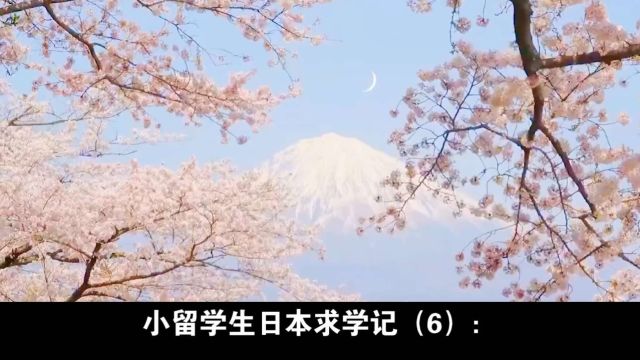 小留学生日本求学记(6):日本老师眼中的外国学生