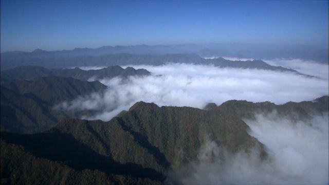 生物多样性 你我共参与