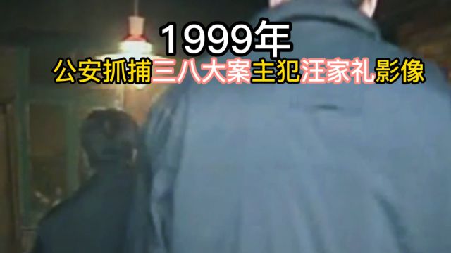 1999年,公安抓捕三八大案主犯汪家礼影像