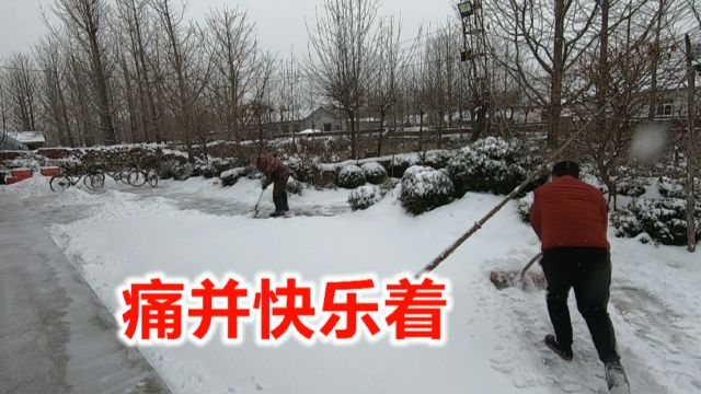 丹东持续下大雪,农家院扫雪痛并快乐着,通过扫雪看东北邻里关系