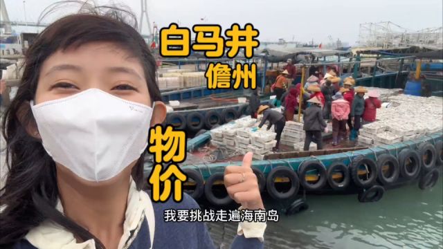 挑战走遍海南岛替大家看看哪里市场码头的物价最便宜