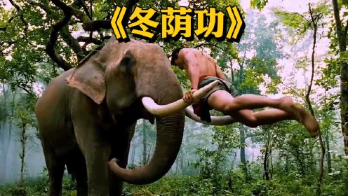 托尼贾为了大象团灭黑帮，不愧泰国拳王《冬荫功》