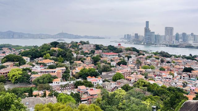 厦门鼓浪屿仍是福建风景天花板,单是日光岩顶峰景观已经令人惊叹