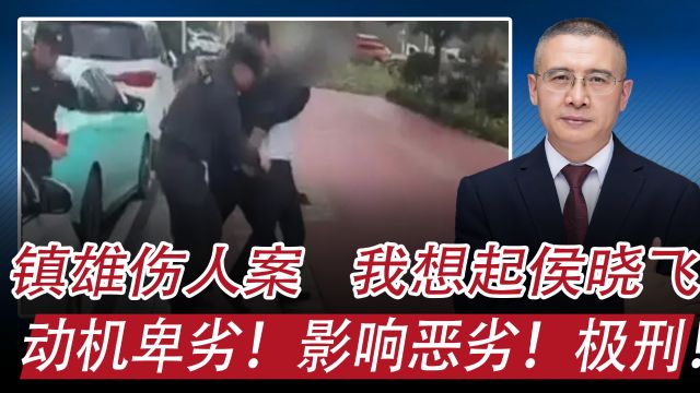 云南持刀伤人事件,23人受伤,其中2人死:想起被判死刑的侯晓飞