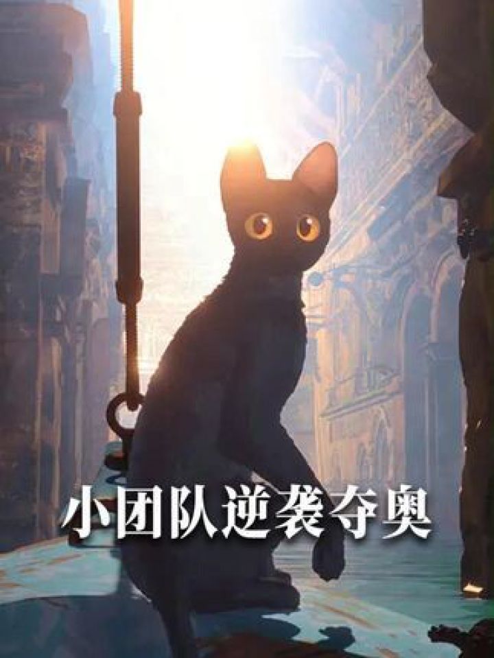 奥斯卡边角料，家乡小骄傲！猫猫的奇幻漂流奥斯卡电影人猫猫_高清1080P在线观看平台_腾讯视频