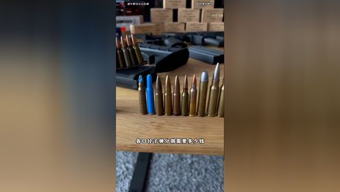 各种口径子弹分别是什么价格？_高清1080P在线观看平台_腾讯视频