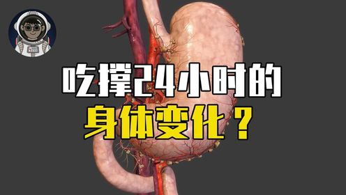 在你吃撑后的24小时,身体都为你经历了哪些变化?_高清1080P在线观看平台_腾讯视频