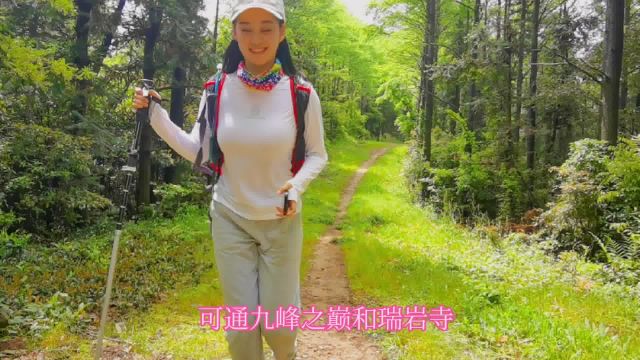 雨后绿野仙踪,第一次使用登山杖,相逢仙境里