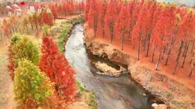 【开屏早知道】国内多所大学接连“开门”!昆明各高校让市民进了吗?