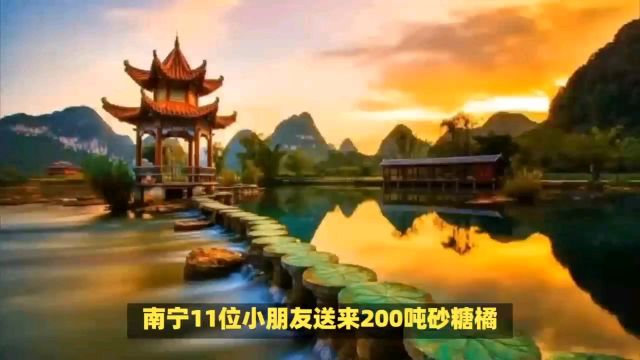 南宁小朋友赠哈尔滨老乡200吨砂糖橘,游学之旅成网络焦点