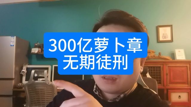 萝卜章骗300亿案件,二审维持原判,无期!#金融 #财经八卦男