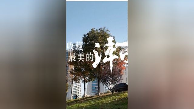 能源金贸区,金湾沣河旁 容积率2.07 绿化率46% 均价 11500. 带您看下沣东的发展