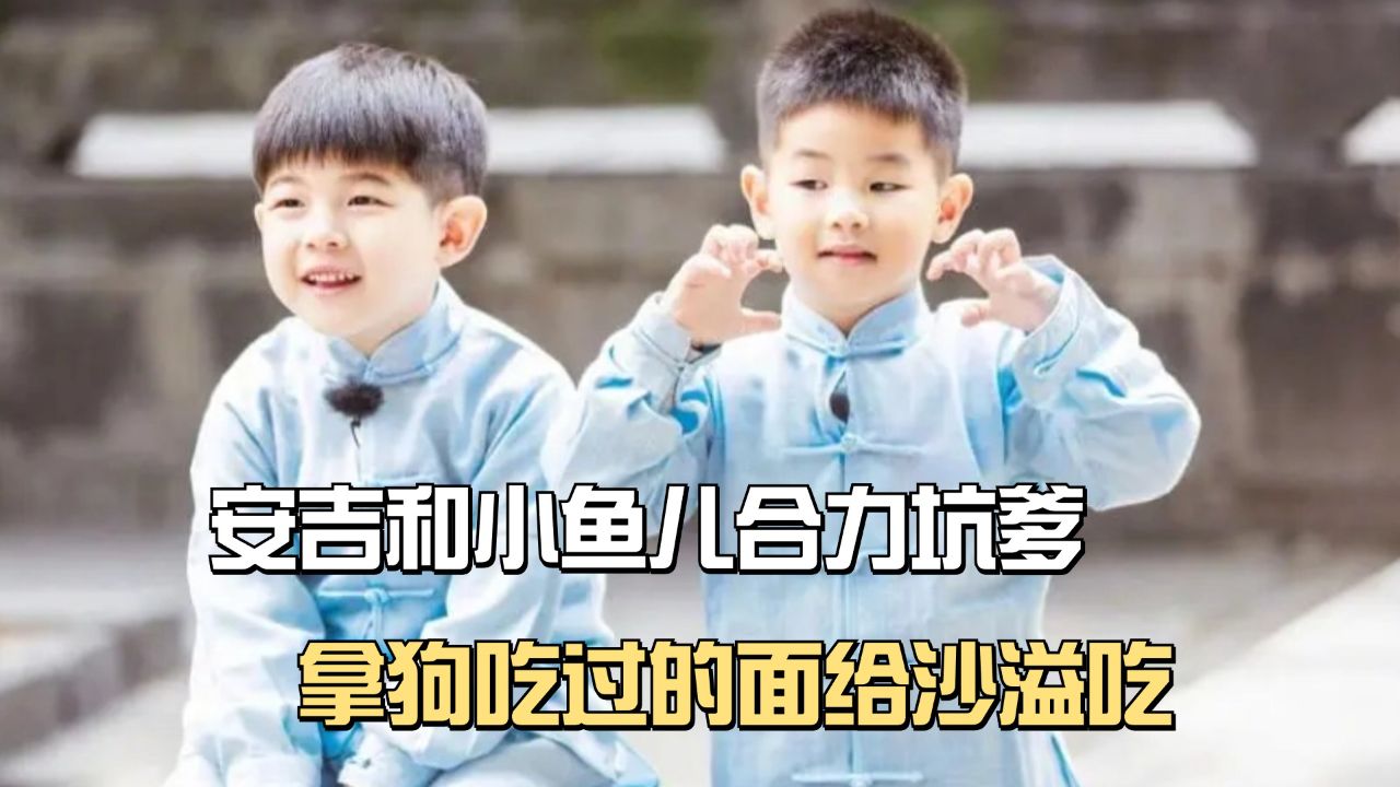 安吉和小鱼儿合力坑爹!拿狗吃过的面给沙溢吃,狂犬疫苗躲不掉了