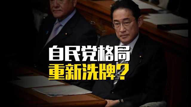 自民党格局重新洗牌?