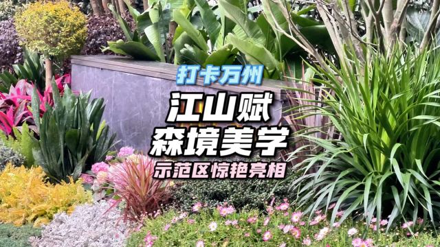 把南滨江景拥入怀,让森林住进家里来是一种什么体验?@海成ⷮŠ江山赋 森境美学示范区惊艳亮相,一起走进你的回家之路!