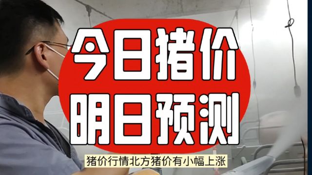 今日猪价 猪肉行情最新动态:北方小幅上涨,南方仍需谨慎