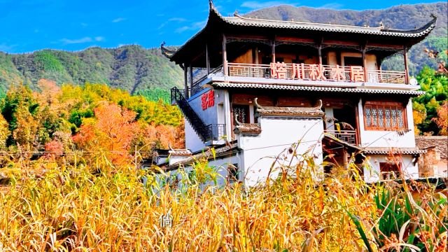 黄山市、塔川风景区拍秋天最美的风景,不在终点,而在路上, 让人生所有的遇见,都成为一种美好!