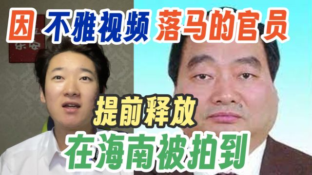 因不雅视频落马的官员!雷政富13年刑期~提前释放!有点疑问?