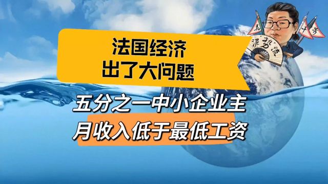 花千芳:法国经济出了大问题,五分之一中小企业主月收入低于最低工资