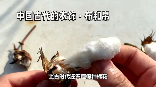 中国古代的衣饰ⷥ𘃥’Œ帛