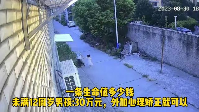 一条生命值多少钱?未满12周岁男孩:30万元,外加心理矫正就可以