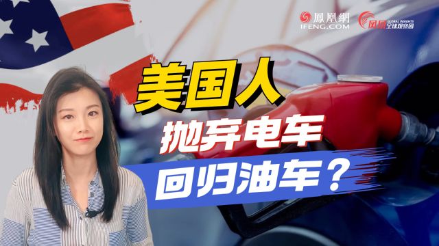 美国租车行巨头戏剧性转折大甩卖:为什么电动汽车在美国卖不动了?