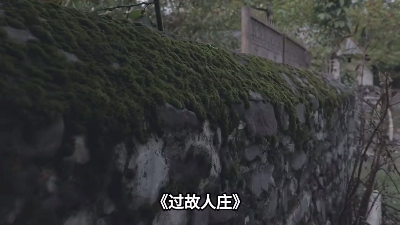 《过故人庄》【作者】孟浩然【朝代】唐