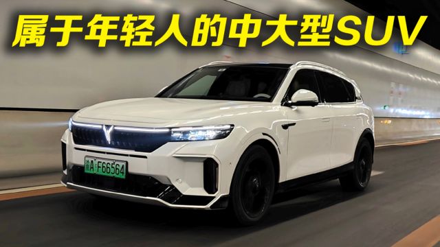 属于年轻人的中大型SUV 试驾岚图FREE